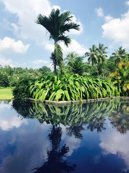 Etamba House Villa Galle Luaran gambar